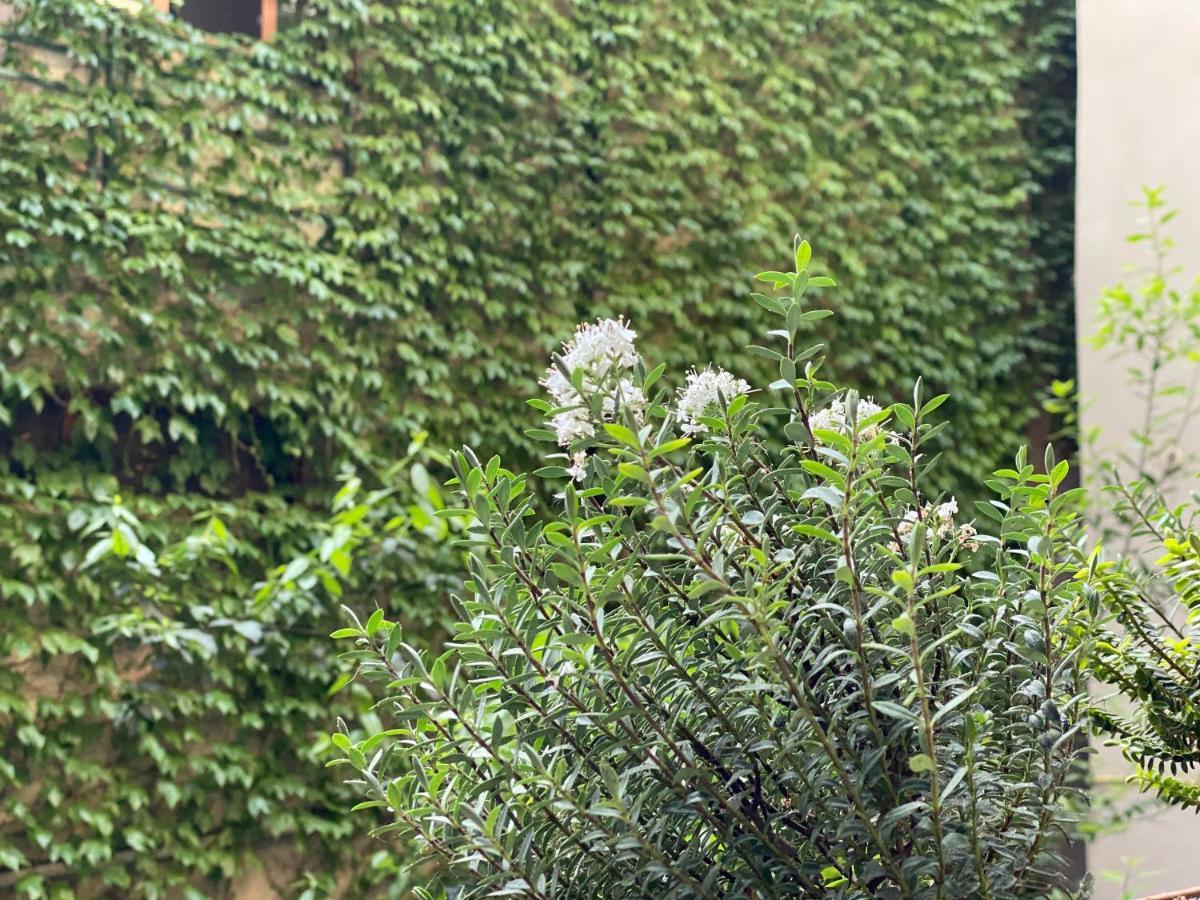 Hotel Blissdom Tbilisi Luaran gambar